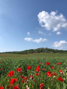 Un ragazzo in bicicletta Conzano